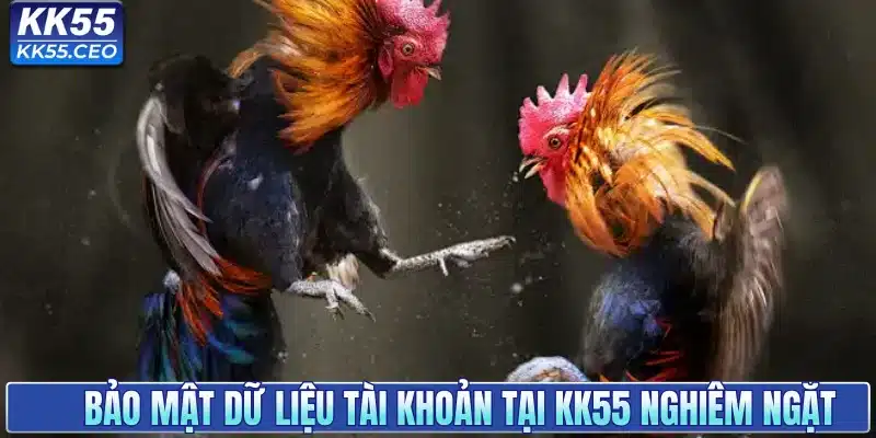 Bảo mật dữ liệu tài khoản tại KK55 nghiêm ngặt